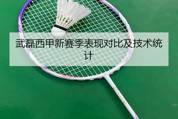 武磊西甲新赛季表现对比及技术统计